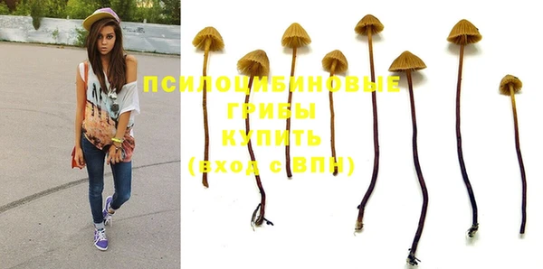 дмт Лагань