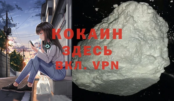 дмт Лагань