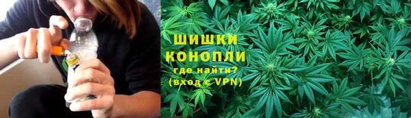 дмт Лагань