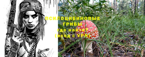 дмт Лагань