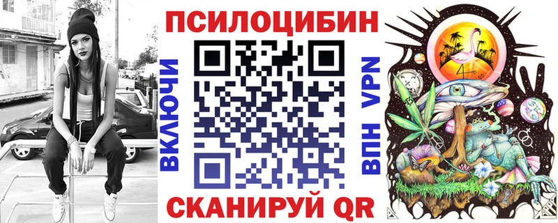 где найти наркотики  Медвежьегорск  Псилоцибиновые грибы мицелий 